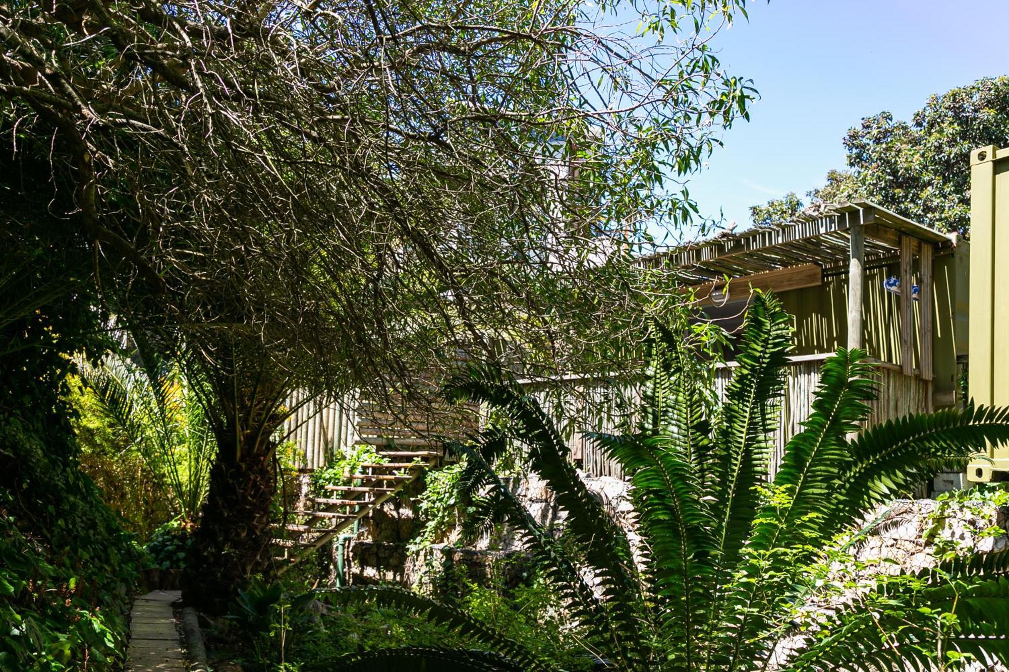 Camps Bay Forest Pods Cape Town Luaran gambar